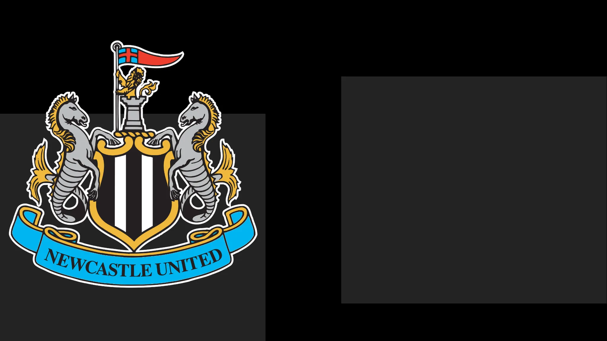 The Magpies Issue Formal Apology to Followers Over Matchday Issue