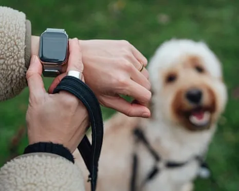 The Truth Regarding Wearable Tech? Life Is Better Without a Bossy Device on Your Wristwear